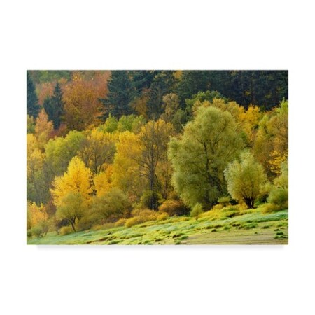 Cora Niele 'Autumn Trees' Canvas Art,16x24